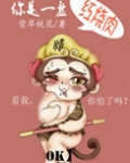 你是一盘红烧肉