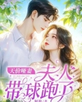 天价哑妻夫人带球跑了