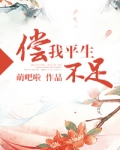 偿我平生不足txt