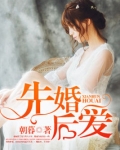 先婚后爱莫萦小说