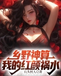 乡野神算 小说