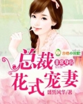 非常总裁 小说