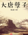 大唐孽子笔趣阁