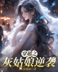 电视连续剧灰姑娘的逆袭之路