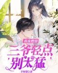 夜夜燃情三爷轻点别太猛