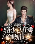 洛少离婚吧全文免费