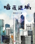 暗夜迷城:夜场小伙的艾滋警示录