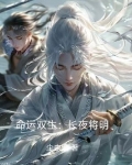 命运长夜fate