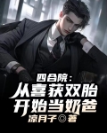 四合院:从喜获双胎开始当奶爸!