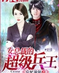 女总裁的超级兵王境界划分
