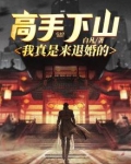 高手下山叶君临全文免费阅读