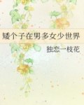 矮个子在男多女少世界