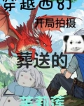 穿越到古代当文抄公的小说