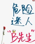 19世纪危险迷人B先生16