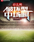 什么叫破坏型中场啊