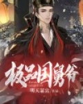 极品国舅爷txt