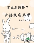穿成美强惨幸好我有马甲快穿