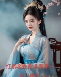 红楼之姓贾非贾家女儿小说