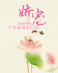 娇宠南安小说免费全文阅读