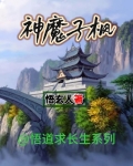 主角叫子枫的小说
