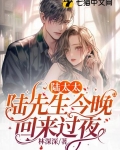 陆太太,陆先生今晚回家过夜txt