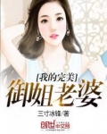 我的完美御姐老婆完整版