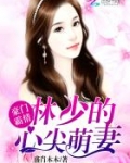 豪门霸情:林少的心尖萌妻
