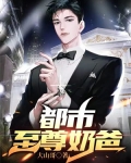 都市至尊奶爸秦明