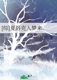 夏洛克晋江小说