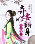 冷王在上:弃妃要翻身