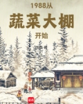 蔬菜大棚哪年开始的