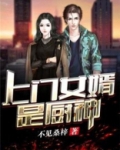 上门女婿是厨师的小说