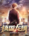 镇国龙婿剧情