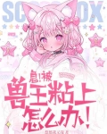 毛茸茸怎么写找到了