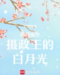 成为摄政王的宠妾后 小说