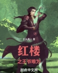 红楼之王爷难为