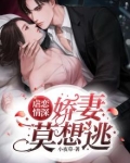 虐心虐妻小说