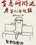 全息网游小说完本