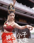 小神医的逆袭