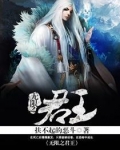 无限君王合集