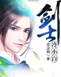 小白不高冷的小说