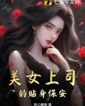 我的贴身高手