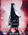 我在红楼的那些年 小说