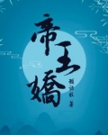 帝王娇王的宠妃小说