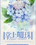 掌上明珠属于几线品牌