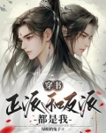 穿书:主角和反派都是我