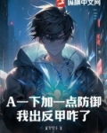 a加一是什么意思