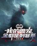 御兽:我的兽宠,全都是刺客系列小说
