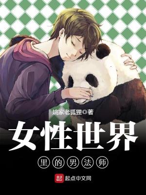 女性世界里的男法师 小说