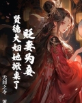 贬妻为妾?贤德大妇她掀桌了男主是谁